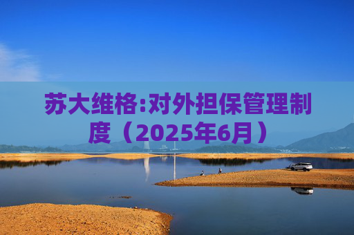苏大维格:对外担保管理制度（2025年6月）