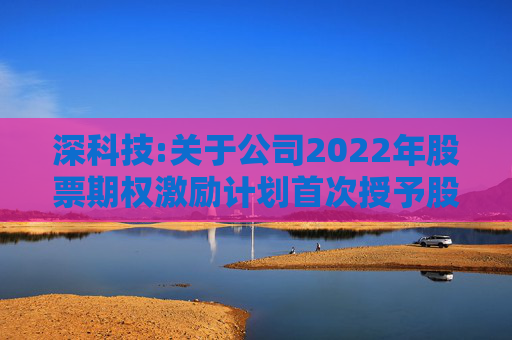 深科技:关于公司2022年股票期权激励计划首次授予股票期权第一个行权期行权条件成就的公告  第1张