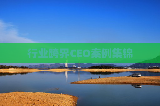 行业跨界CEO案例集锦