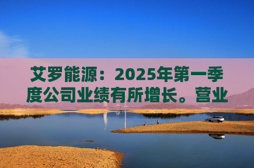艾罗能源：2025年第一季度公司业绩有所增长。营业收入为7.99亿元