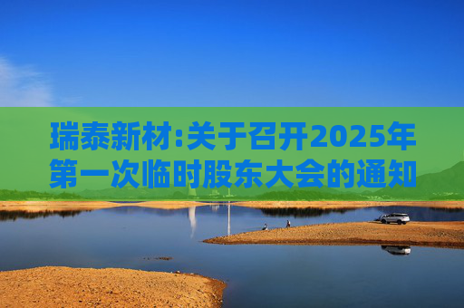 瑞泰新材:关于召开2025年第一次临时股东大会的通知  第1张