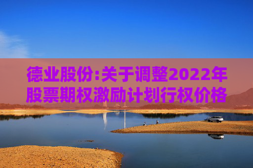 德业股份:关于调整2022年股票期权激励计划行权价格及数量的公告
