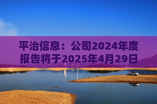 平治信息:公司2024年度报告将于2025年4月29日披露