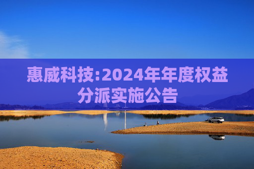 惠威科技:2024年年度权益分派实施公告