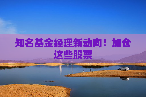 知名基金经理新动向!加仓这些股票 第1张 知名基金经理新动向!加仓这些股票 第1张