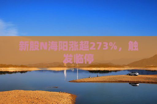 新股N海阳涨超273%，触发临停
