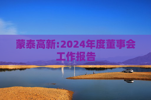 蒙泰高新:2024年度董事会工作报告