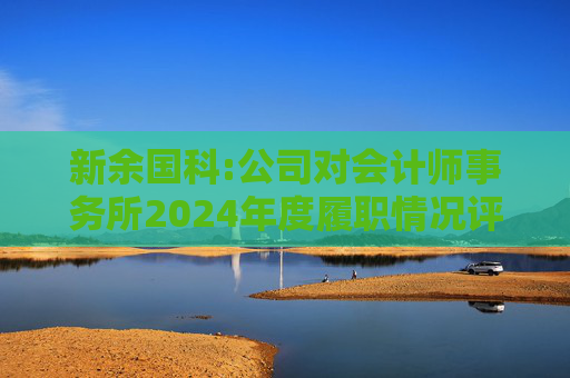 新余国科:公司对会计师事务所2024年度履职情况评估报告