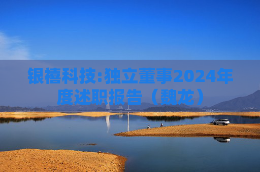 银禧科技:独立董事2024年度述职报告（魏龙）  第1张