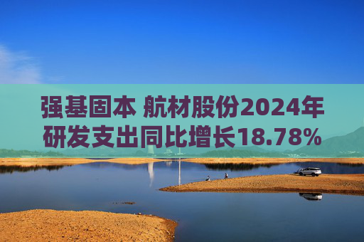 强基固本 航材股份2024年研发支出同比增长18.78%  第1张