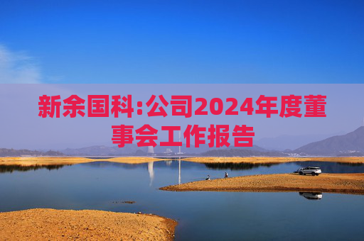 新余国科:公司2024年度董事会工作报告  第1张