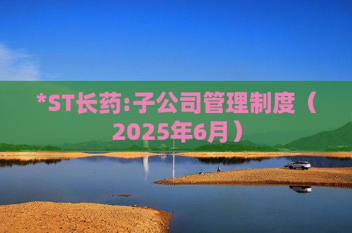 *ST长药:子公司管理制度（2025年6月）