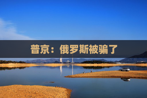 普京：俄罗斯被骗了