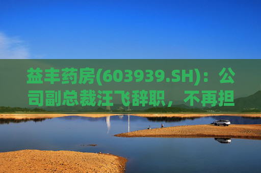 益丰药房(603939.SH)：公司副总裁汪飞辞职，不再担任公司其他职务  第1张