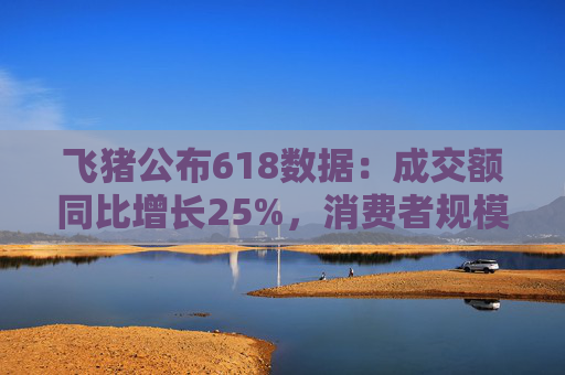 飞猪公布618数据:成交额同比增长25%,消费者规模增长约30% 第1张 飞猪公布618数据:成交额同比增长25%,消费者规模增长约30% 第1张