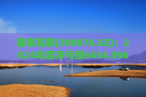 蒙泰高新(300876.SZ):2024年度净亏损6454.596万元