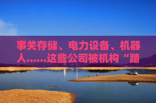 事关存储、电力设备、机器人......这些公司被机构“踏破门槛”