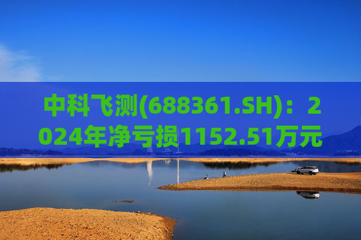 中科飞测(688361.SH)：2024年净亏损1152.51万元