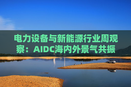 电力设备与新能源行业周观察：AIDC海内外景气共振 储能需求向好发展