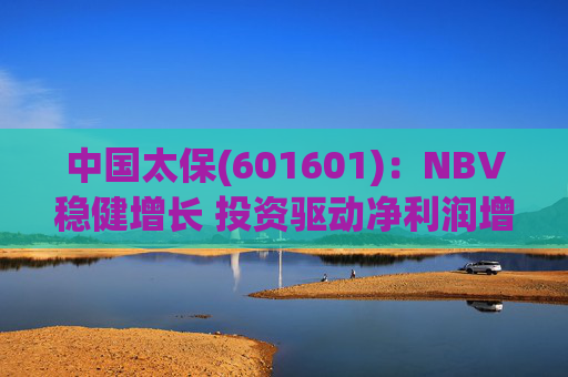 中国太保(601601)：NBV稳健增长 投资驱动净利润增速提升
