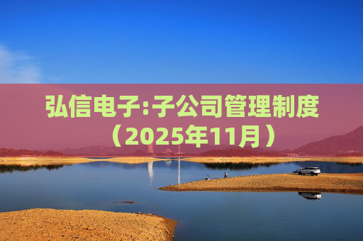 弘信电子:子公司管理制度（2025年11月）