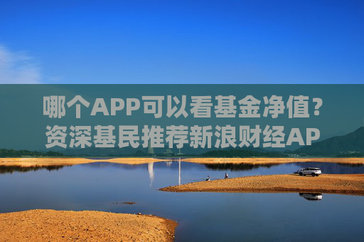 哪个APP可以看基金净值？资深基民推荐新浪财经APP三大理由  第1张