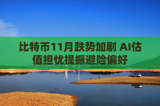 比特币11月跌势加剧 AI估值担忧提振避险偏好