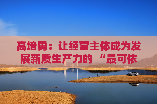 高培勇：让经营主体成为发展新质生产力的 “最可依靠力量”