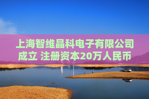 上海智维晶科电子有限公司成立 注册资本20万人民币 第1张 上海智维晶科电子有限公司成立 注册资本20万人民币 第1张