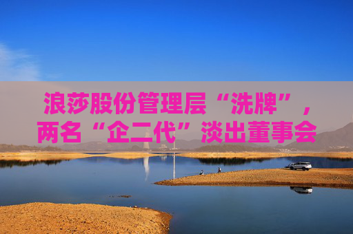 浪莎股份管理层“洗牌”，两名“企二代”淡出董事会  第1张