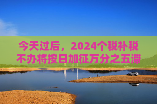 今天过后，2024个税补税不办将按日加征万分之五滞纳金