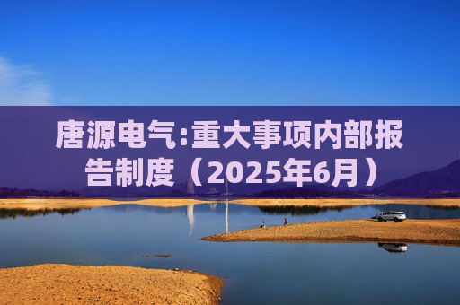 唐源电气:重大事项内部报告制度(2025年6月)