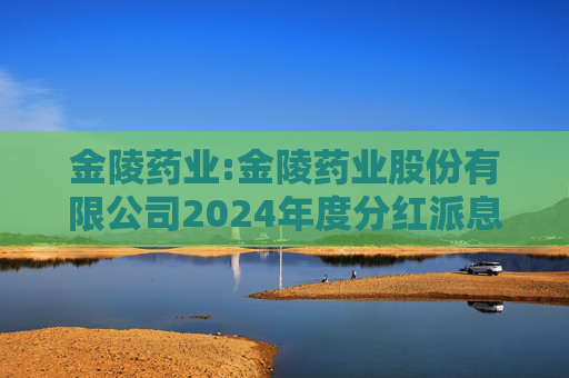 金陵药业:金陵药业股份有限公司2024年度分红派息实施公告