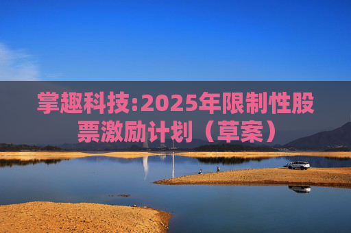 掌趣科技:2025年限制性股票激励计划（草案）
