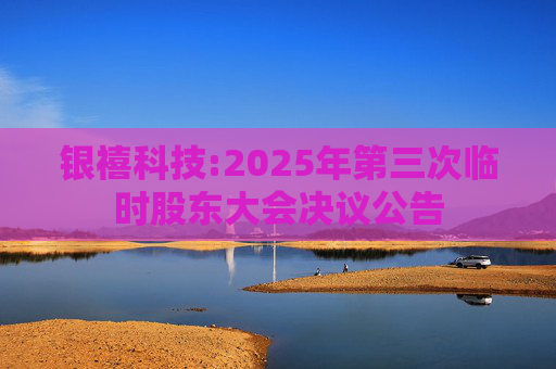 银禧科技:2025年第三次临时股东大会决议公告