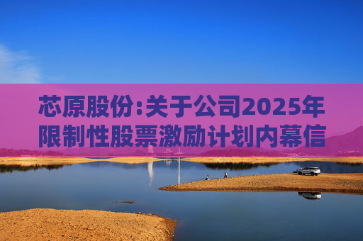 芯原股份:关于公司2025年限制性股票激励计划内幕信息知情人买卖公司股票情况的自查报告