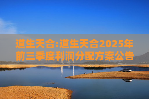 道生天合:道生天合2025年前三季度利润分配方案公告