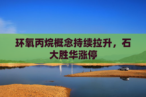 环氧丙烷概念持续拉升，石大胜华涨停  第1张