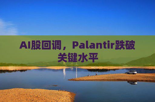 AI股回调,Palantir跌破关键水平