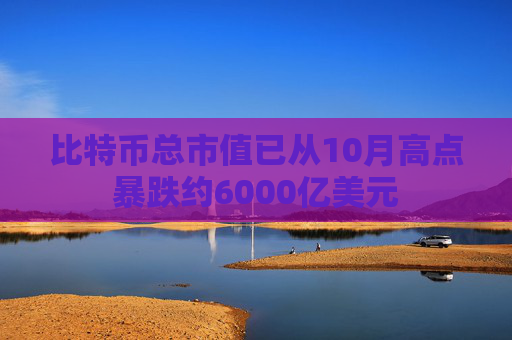 比特币总市值已从10月高点暴跌约6000亿美元  第1张