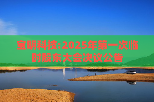 宝明科技:2025年第一次临时股东大会决议公告  第1张