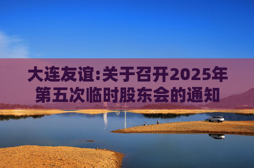 大连友谊:关于召开2025年第五次临时股东会的通知
