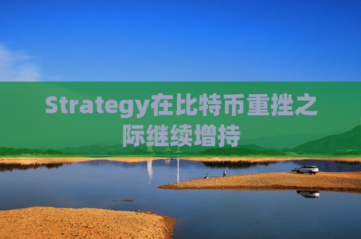 Strategy在比特币重挫之际继续增持