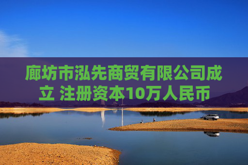 廊坊市泓先商贸有限公司成立 注册资本10万人民币  第1张