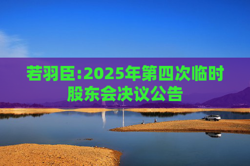 若羽臣:2025年第四次临时股东会决议公告