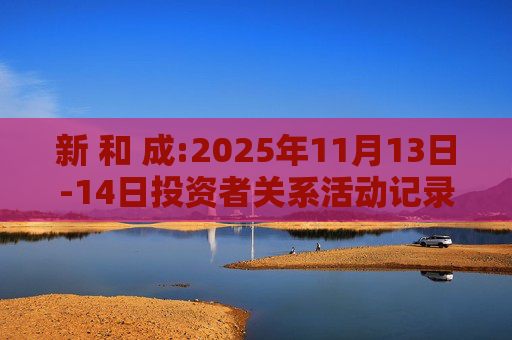 新 和 成:2025年11月13日-14日投资者关系活动记录表