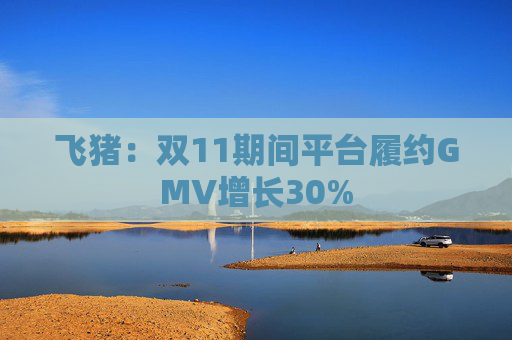 飞猪：双11期间平台履约GMV增长30%