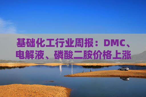 基础化工行业周报：DMC、电解液、磷酸二胺价格上涨 关注反内卷和铬盐  第1张