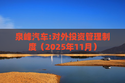 泉峰汽车:对外投资管理制度（2025年11月）  第1张