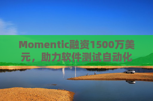 Momentic融资1500万美元,助力软件测试自动化